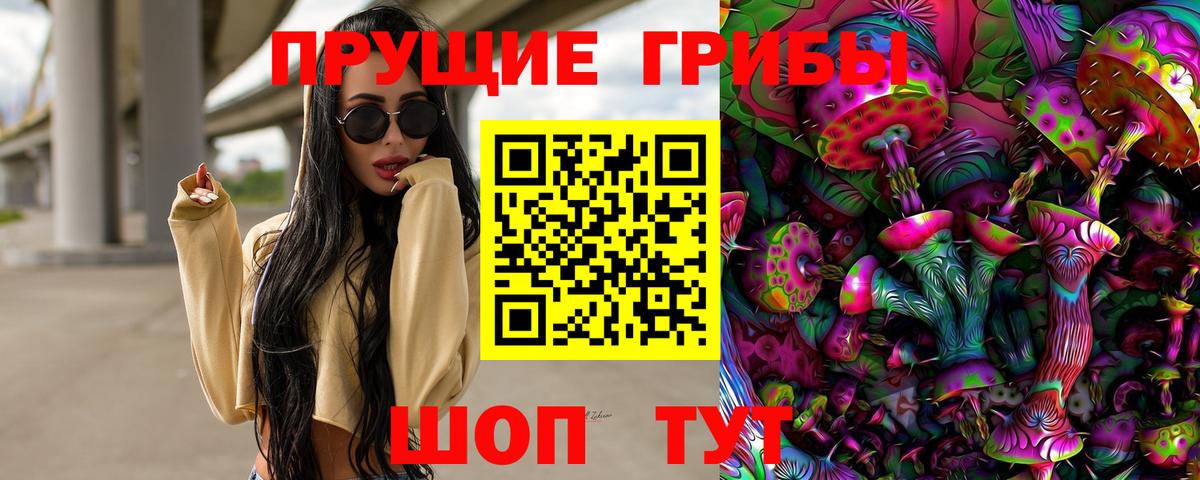 Гатчина  продажа наркотиков  Вход с VPN  Псилоцибиновые грибы ЛСД 