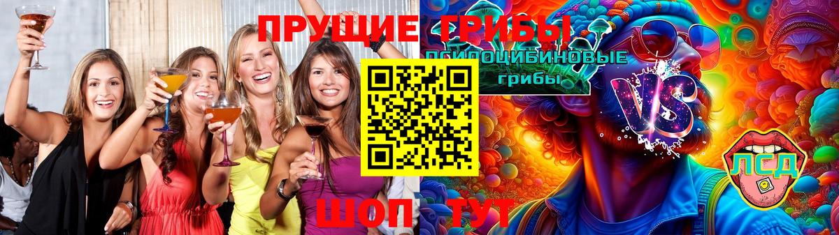Галлюциногенные грибы прущие грибы Гатчина
