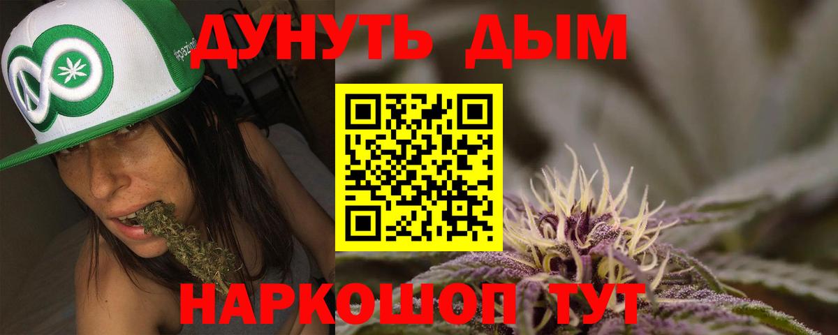 Канабис гибрид Гатчина